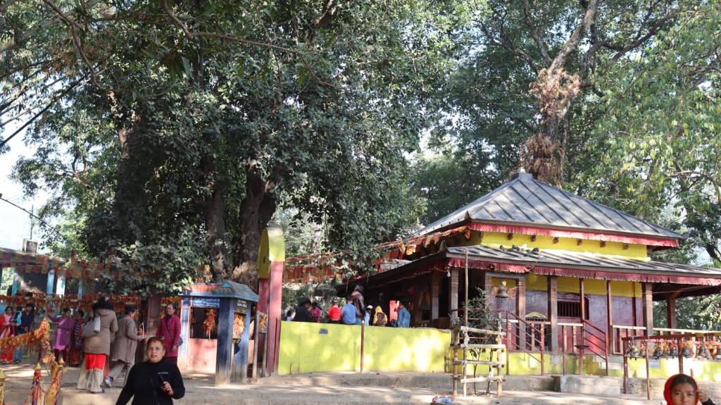 बुढासुब्बा