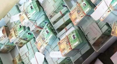 लाइसेन्स