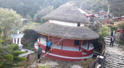 राइनासकोट