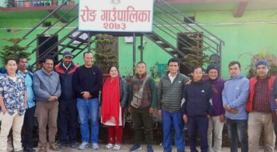 व्यावसायिक मौरीपालन