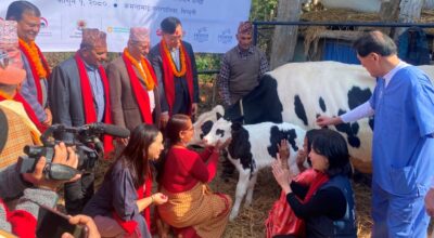 ‘मिल्की वे’ परियोजना