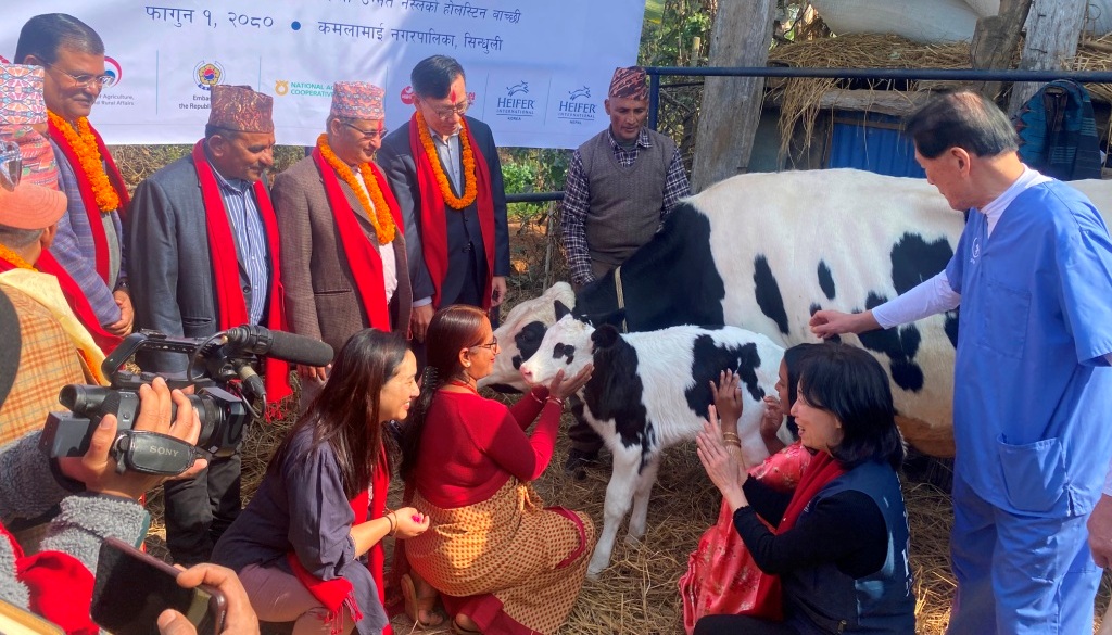 ‘मिल्की वे’ परियोजना