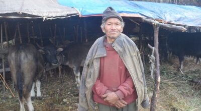 घुम्ती गोठ