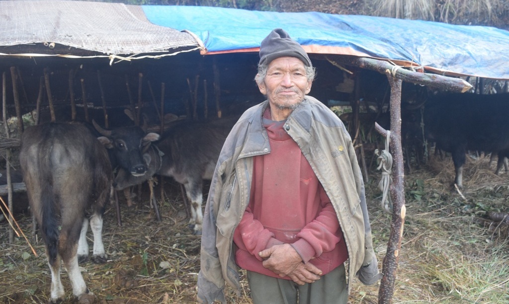 घुम्ती गोठ