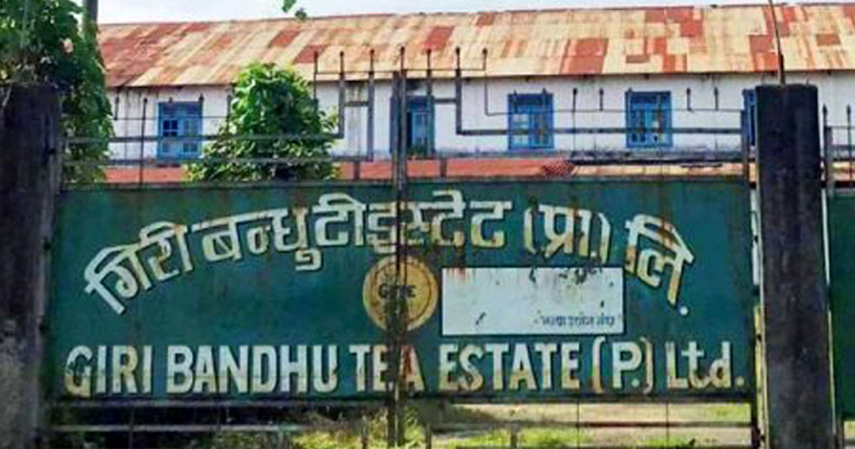 गिरीबन्धु टी–स्टेट