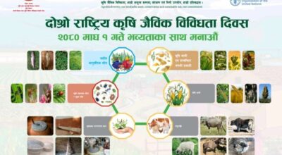 राष्ट्रिय जैविक विविधता दिवस