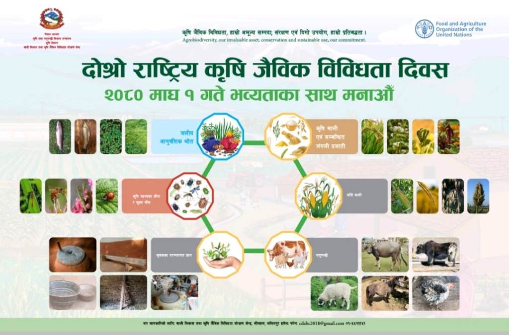 राष्ट्रिय जैविक विविधता दिवस