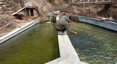 माछापालन