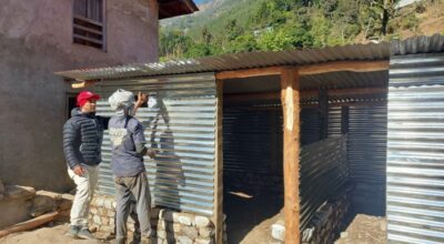 रेडक्रस घर बनाउदै