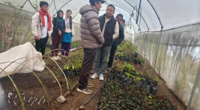 थुलुङ दूधकोशीमा कफीको न्यूनतम समर्थन मूल्य निर्धारण