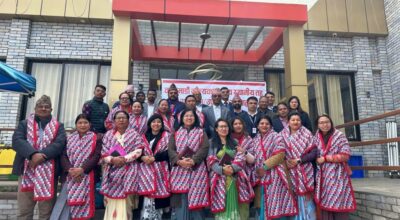 उपप्रमुख सञ्जाल