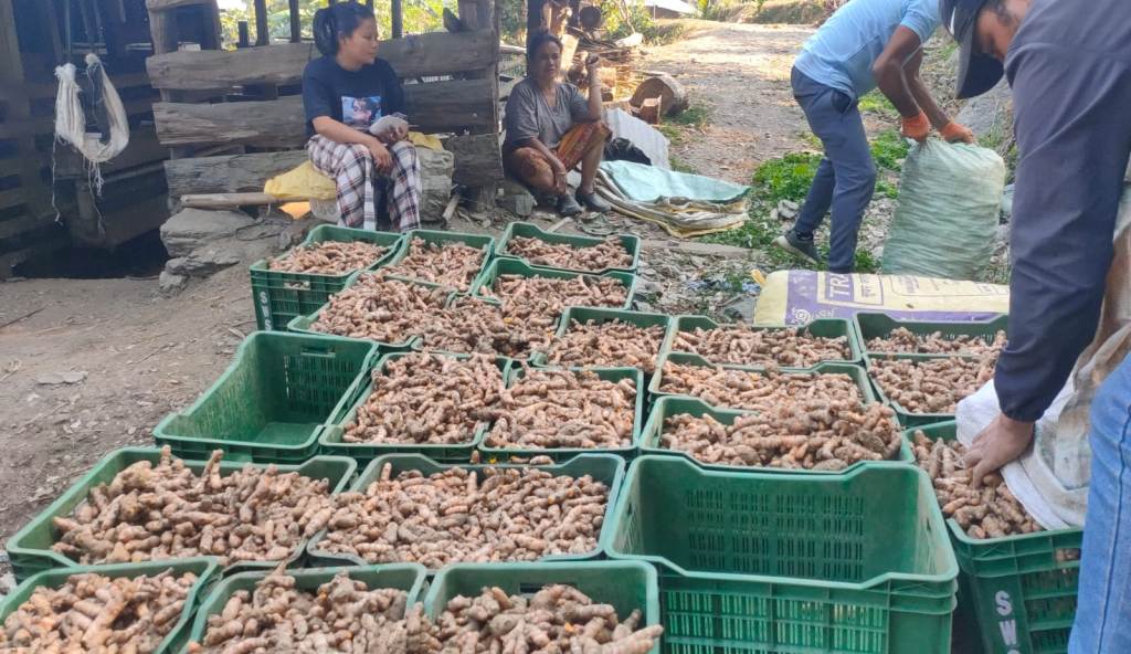 बेसार प्रवर्द्धन