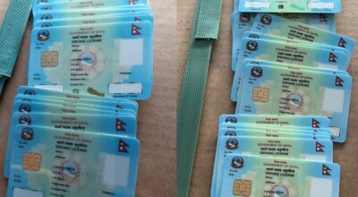 लाइसेन्स