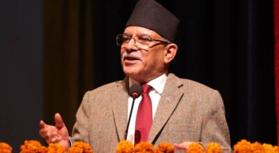 विधान परिमार्जन