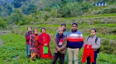 आमा समूहद्वारा सामूहिक आलुखेती