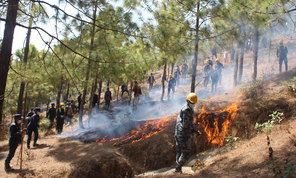 आगो निभाउने संयुक्त अभ्यास