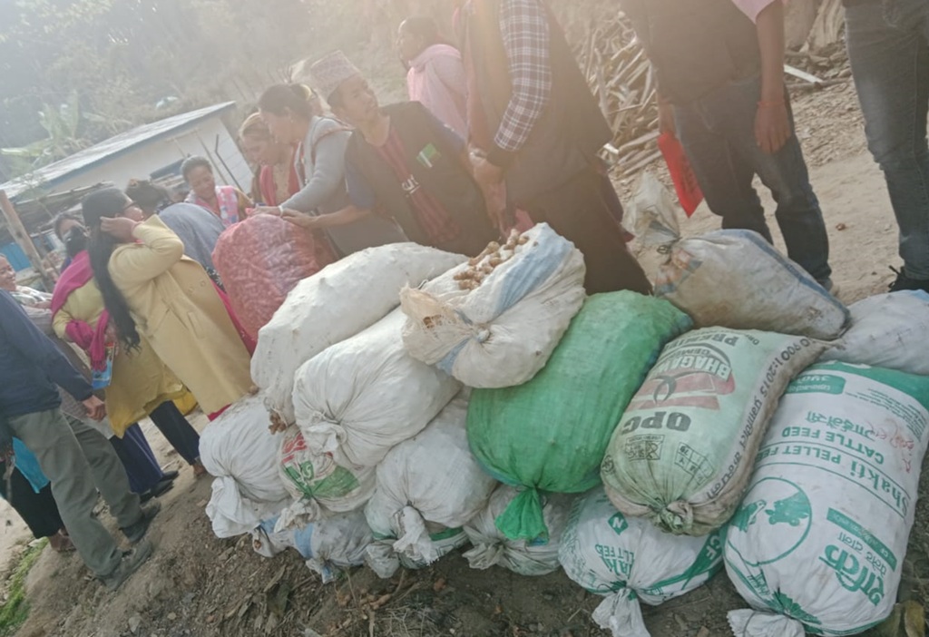 बेसार प्रवर्द्धन