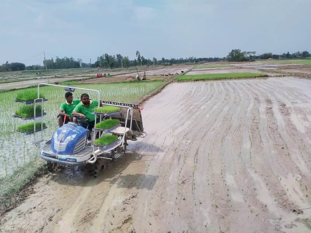 चैते धानखेती