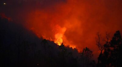 ताप्लेजुङ डडेलो