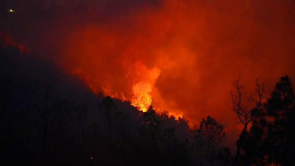 ताप्लेजुङ डडेलो
