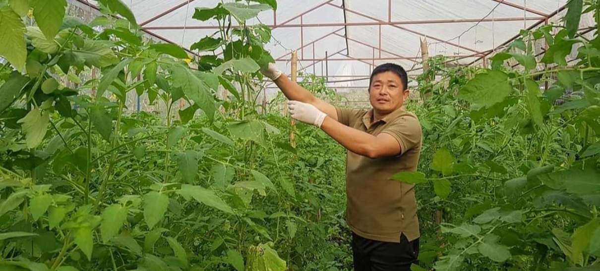 कृष्ण राई