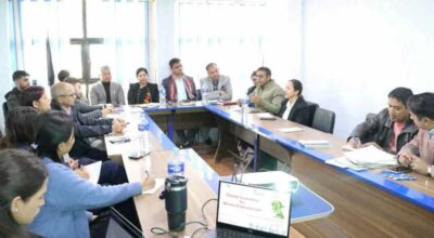 संसदीय समूह