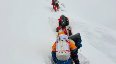 एली पेपर