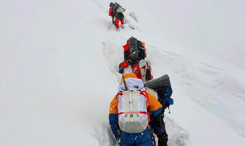 एली पेपर