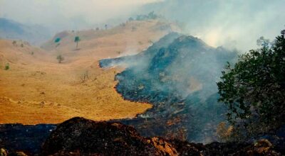 बागलुङमा ३८ वनमा आगलागी