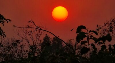 नयाँ वर्ष २०८१