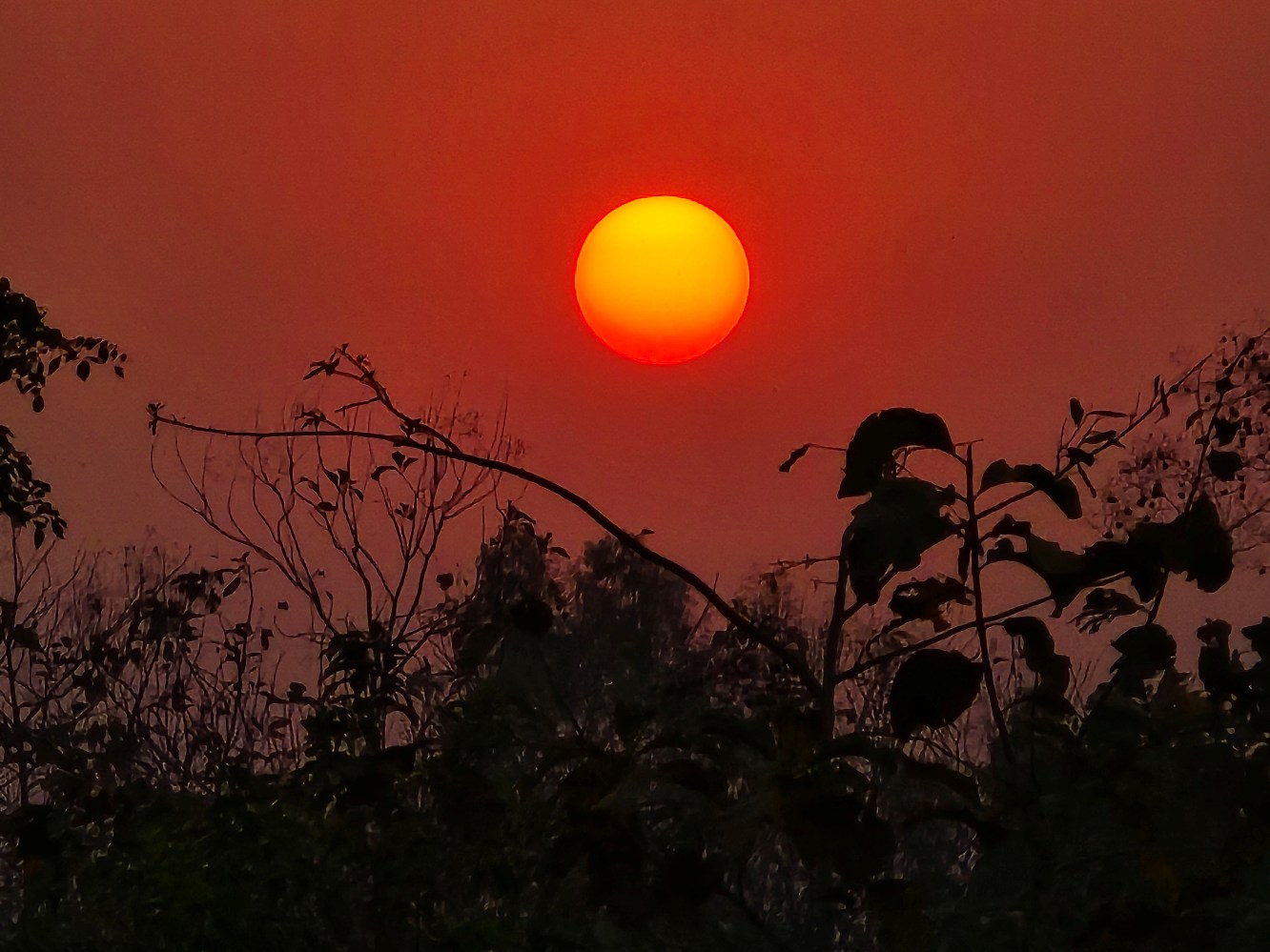 नयाँ वर्ष २०८१