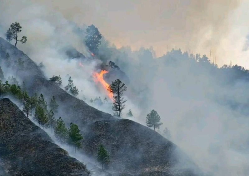 डोल्पा डढेलोमा घाइते बालकको मृत्यु