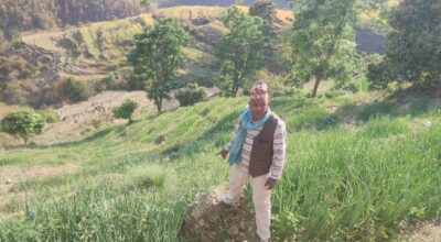 डोटीमा प्याजखेती