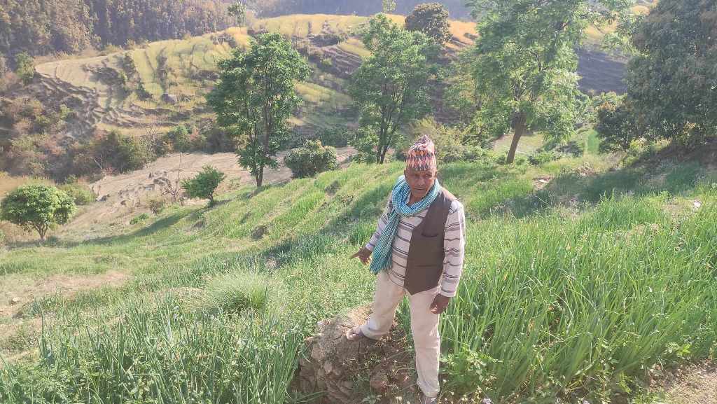 डोटीमा प्याजखेती