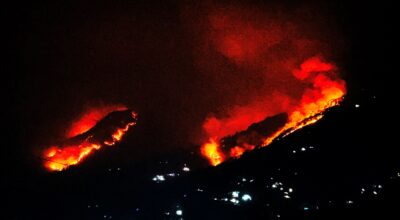 जङ्गलभरि आगलागी