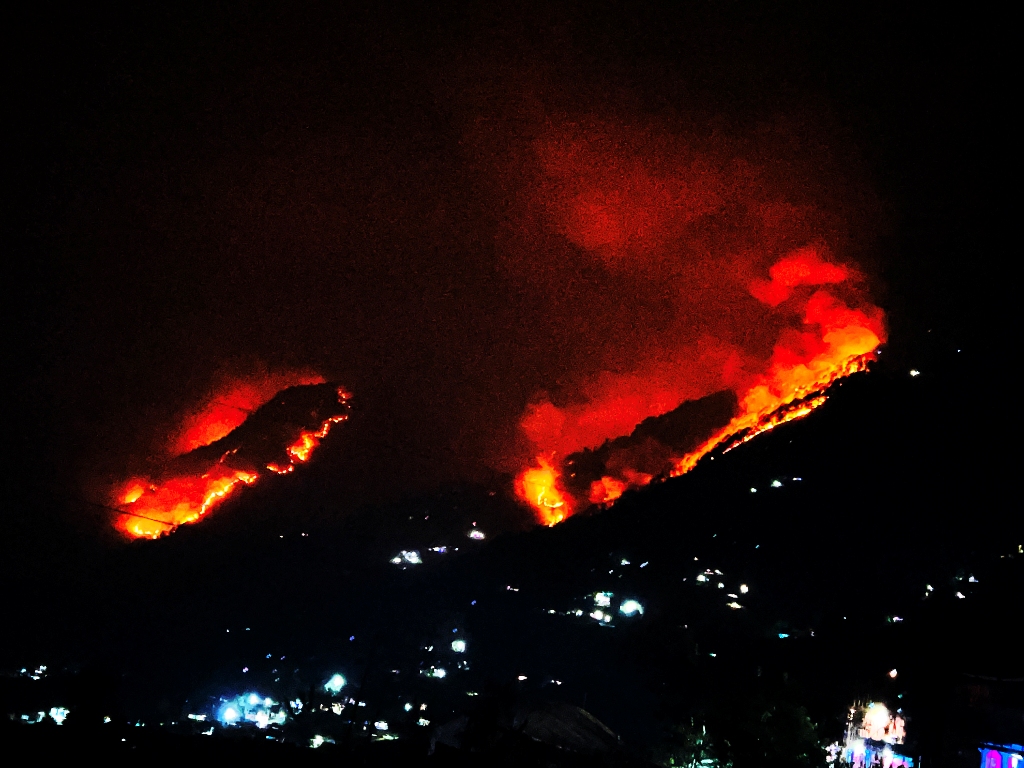 जङ्गलभरि आगलागी