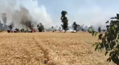 आगलागी हुँदा सात बिघा जमिनको गहुँबाली नष्ट