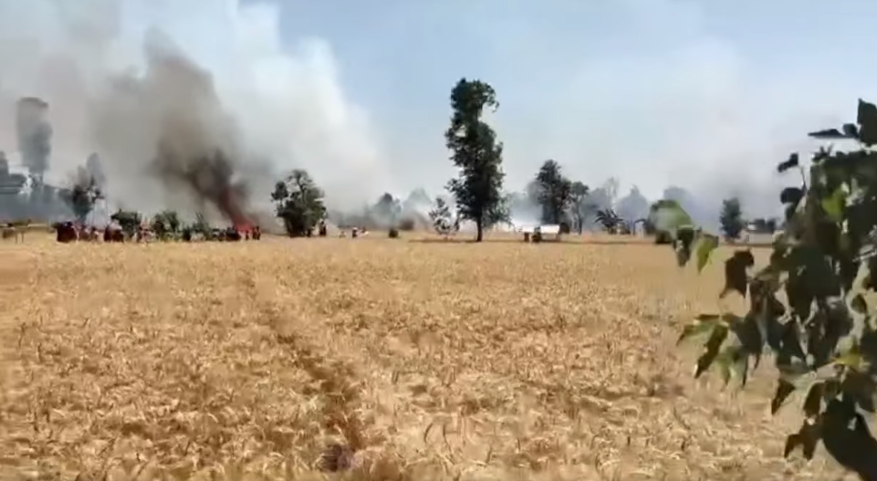 आगलागी हुँदा सात बिघा जमिनको गहुँबाली नष्ट