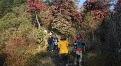 घोडेपानी