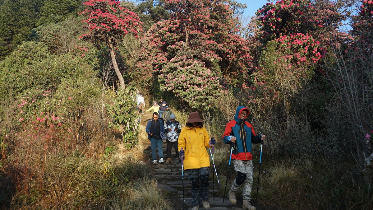 घोडेपानी