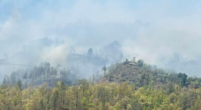 गुल्मीमा आगलागी