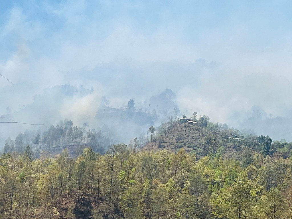 गुल्मीमा आगलागी
