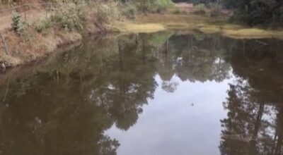 हिले–जलजले वनमा ताल निर्माण