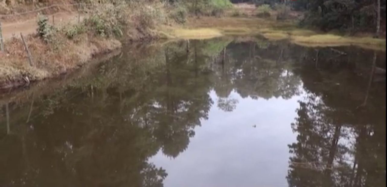 हिले–जलजले वनमा ताल निर्माण