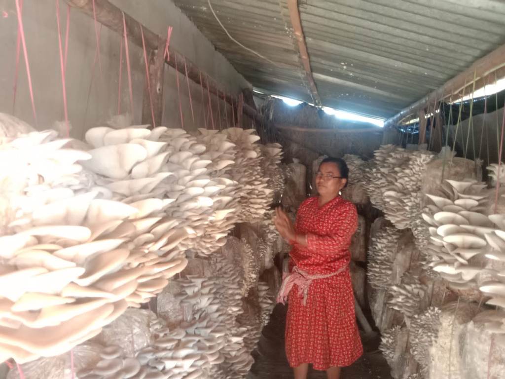 व्यावसायिक च्याउखेती