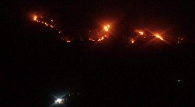 डढेलोले म्याग्दी