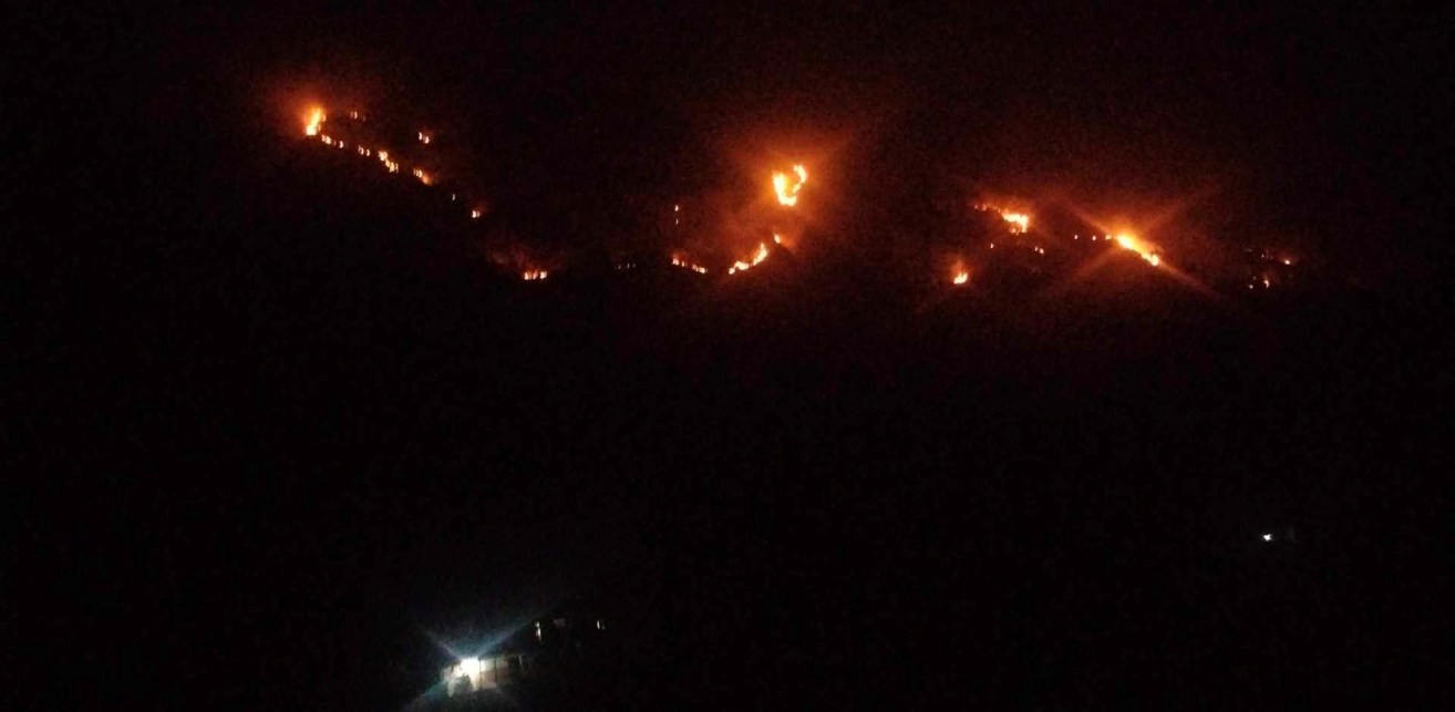 डढेलोले म्याग्दी