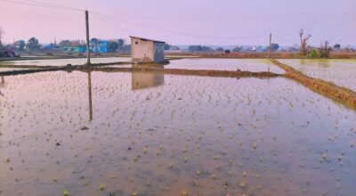 खेती क्षेत्र