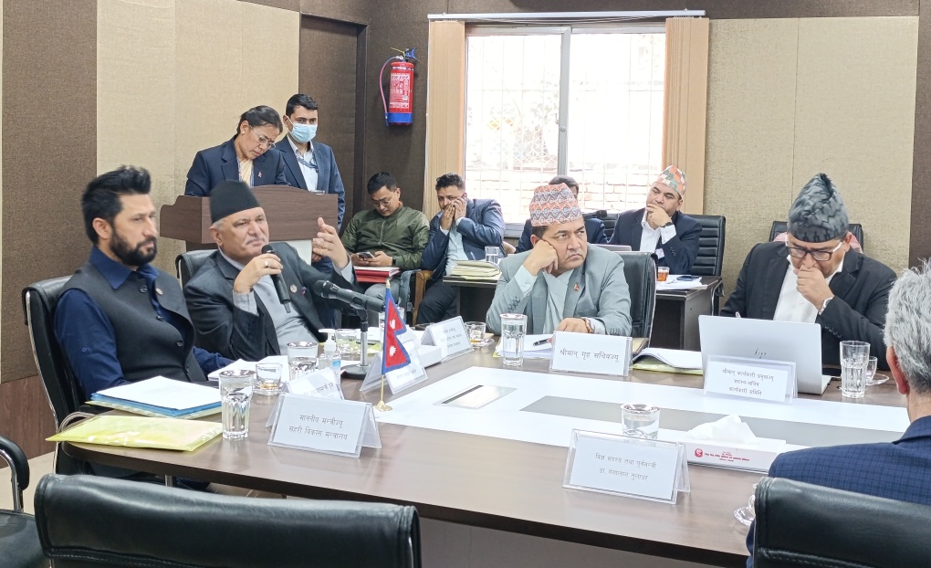 रवि लामिछाने