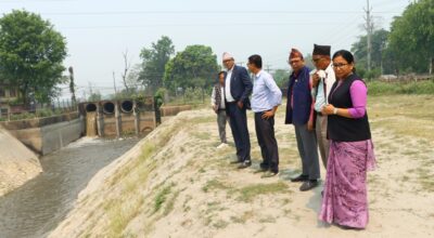 खडेरीले मकै सुक्न थालेपछि नारायणी लिफ्टबाट पानी छाडियो